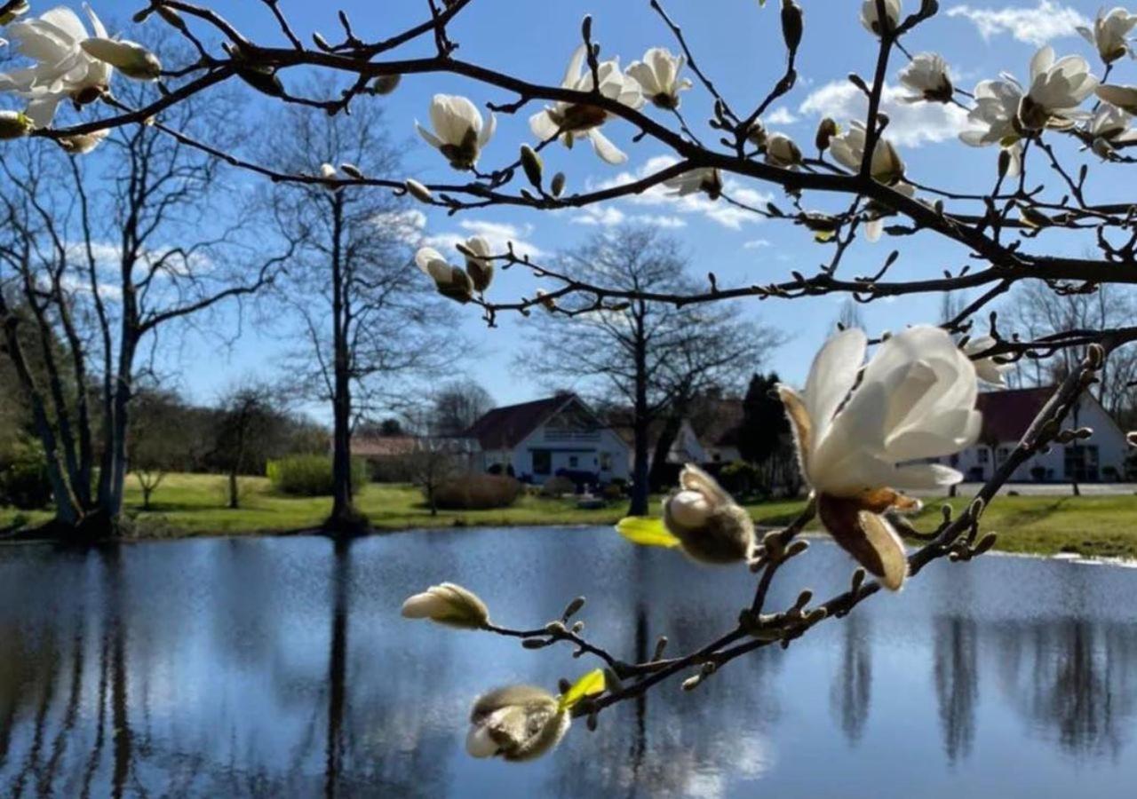Lille Grynborg Villa Blommenslyst Eksteriør bilde